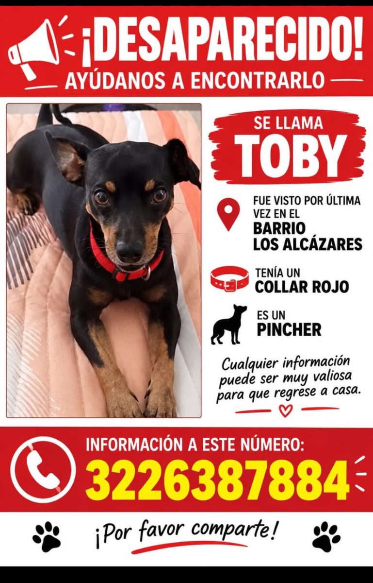 Toby